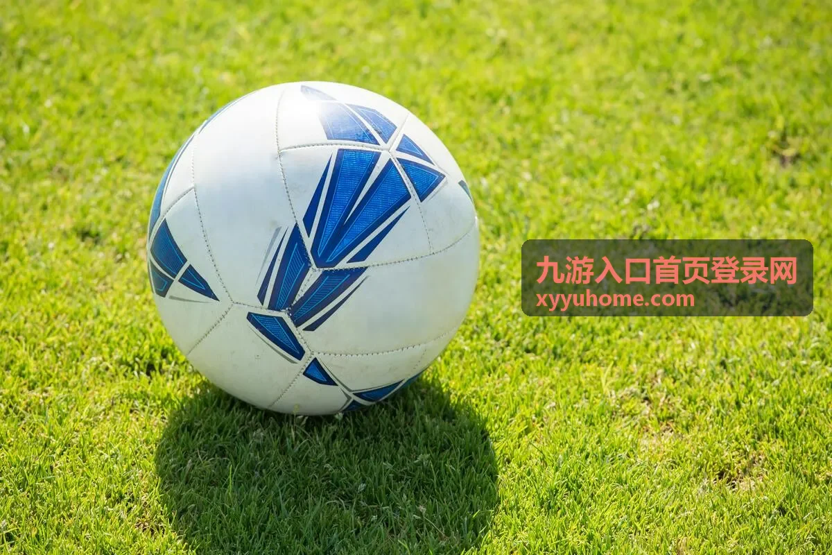 九游入口首页登录网-九游登录指南封面
