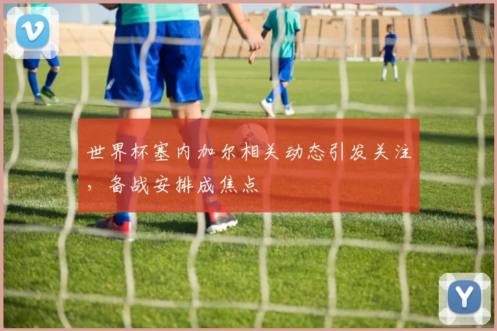 世界杯塞内加尔相关动态引发关注,备战安排成焦点