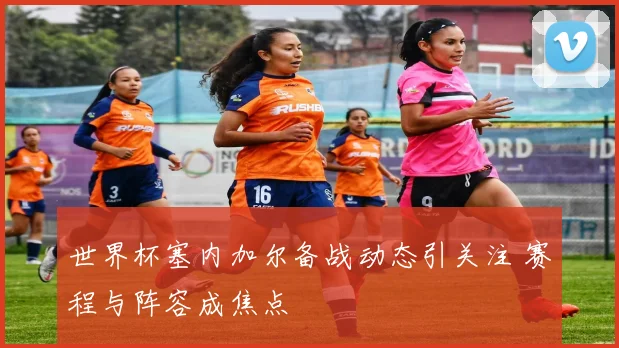 世界杯塞内加尔备战动态引关注 赛程与阵容成焦点