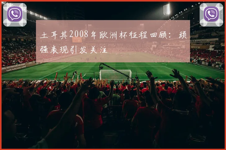 土耳其2008年欧洲杯征程回顾：顽强表现引发关注
