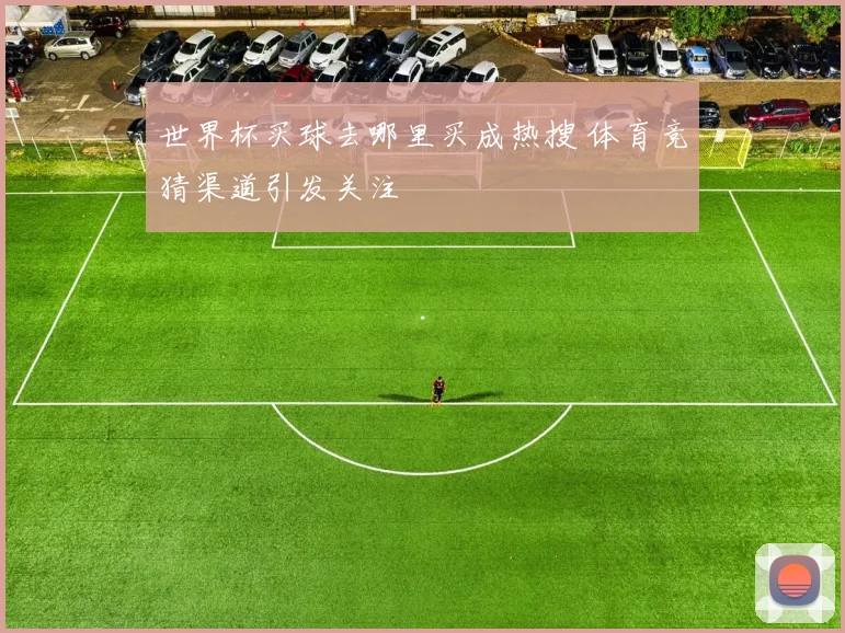 世界杯买球去哪里买成热搜 体育竞猜渠道引发关注
