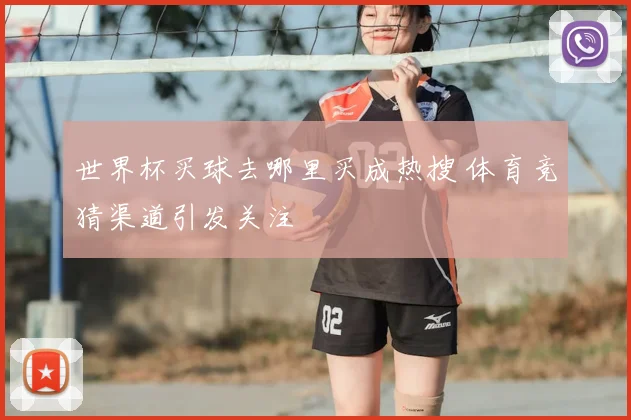 世界杯买球去哪里买成热搜 体育竞猜渠道引发关注