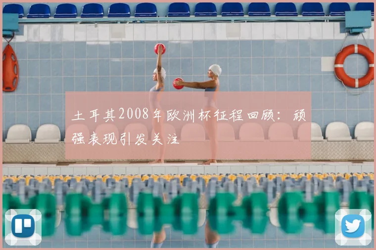 土耳其2008年欧洲杯征程回顾:顽强表现引发关注